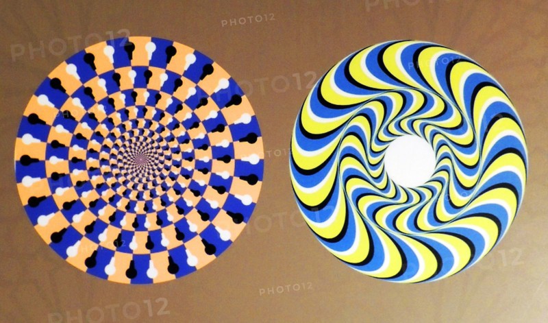 Rotating Snakes optical illusion. we perceive the brightly coloured circles of the image to be in circular motion. perhaps this is due to with microsaccades, or involuntary eye movements, that attempt to “refresh” the view of any object or image that we look at for too long.