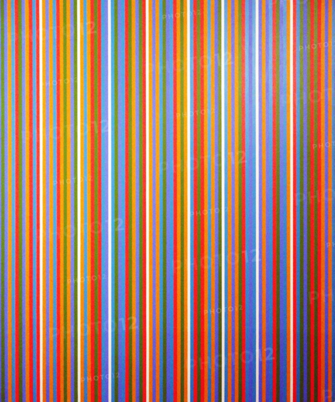 Cherry Autumn; 1983 by Bridget Riley born 1931.