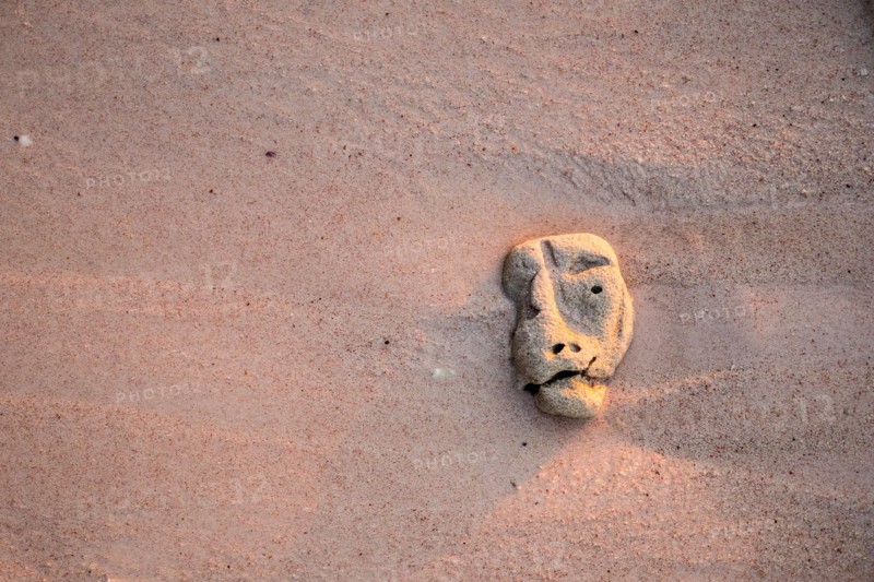 Coral on sand with a strange shape of head