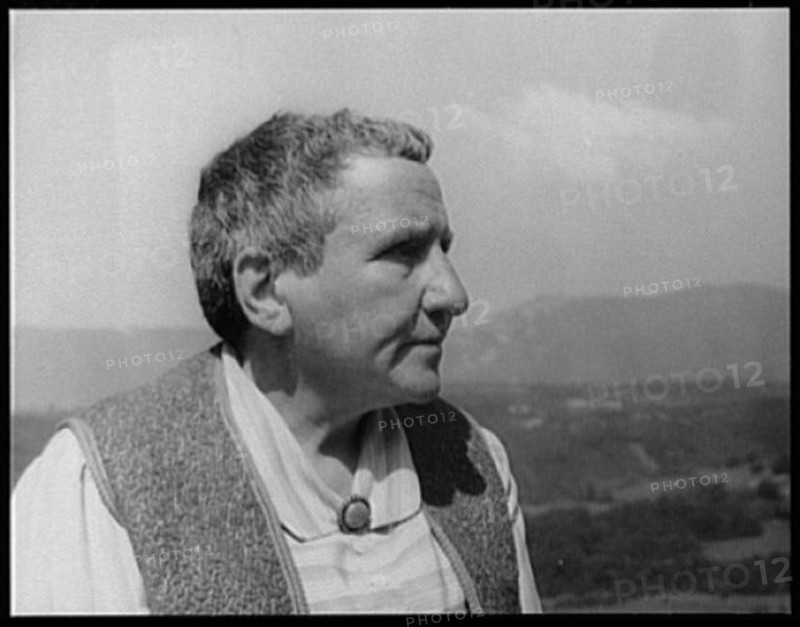 Portrait of Gertrude Stein, Biliguin LCCN2004663587