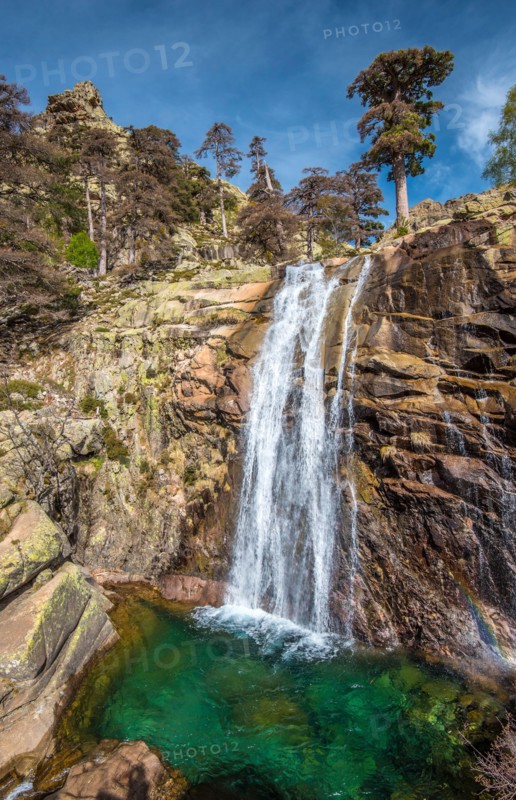 Radule waterfall in High Golo Valley of Corsica Island. Laricio pine trees of Valdo-Nielo forest are in top and natural pool with crystalline water in