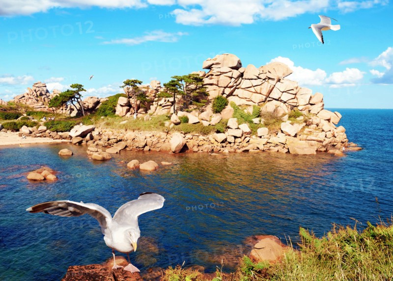 Breton coast in Morbihan, France