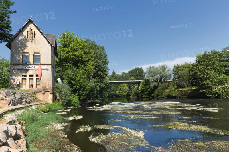 Water Crowfoot (Ranunculus aquatilis) adorns the Vézère River as it passes through Montignac, Dordogne, France