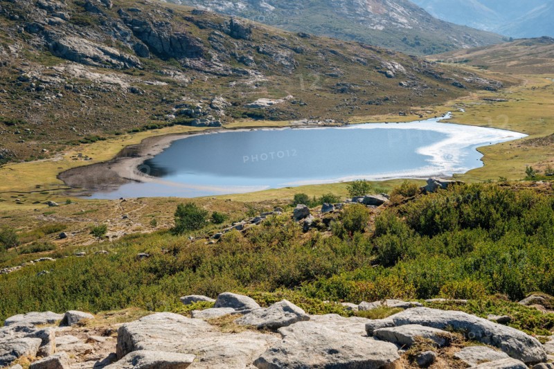 Lac de Nino between le Castel de Vergio and Manganu, GR20, Corsica, France