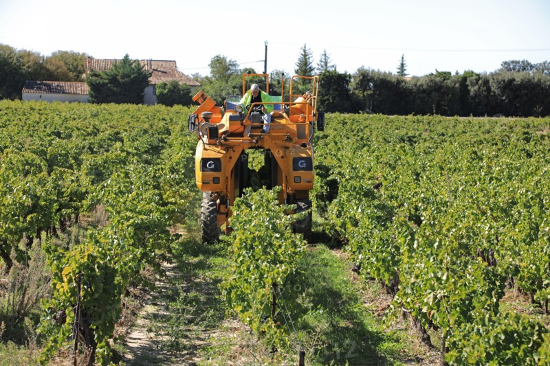 Gregoire Grape harvesting machinery near the Rhône wine village of Séguret in Vaucluse Provence, France