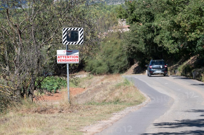 Road sign "Caution: Grape Harvest" at the entrance of Puyloubier, the largest vineyard in Bouches-du-Rhône, known for its AOC Côtes de Provence Sainte