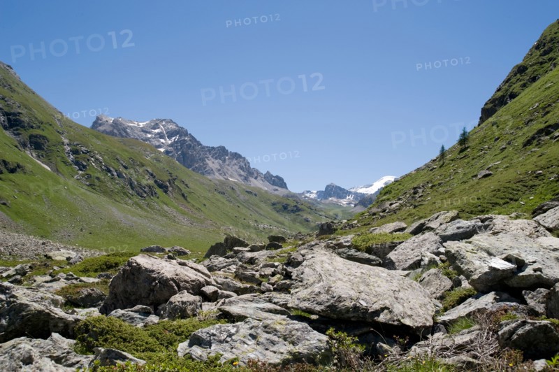 alpine valley plan de la plagne, vanoise, savoie france