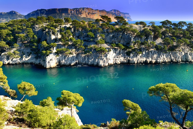 Calanques of Port Pin in Cassis in France near Marseille