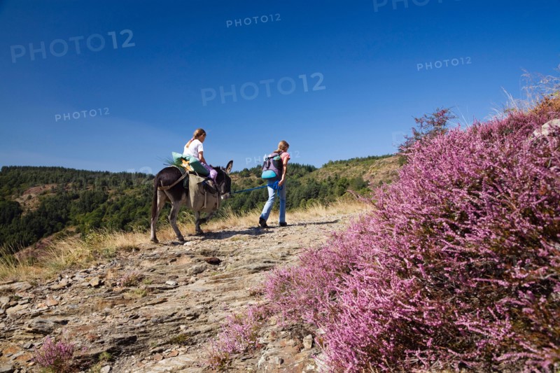 hiking family with a donkey in the Cevennes mountains, France, Cevennes National Park
