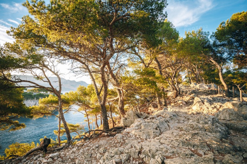 Path Hiking Trails Among Calanques On The French Riviera. Calanques - A Deep Bay Surrounded By High Cliffs.