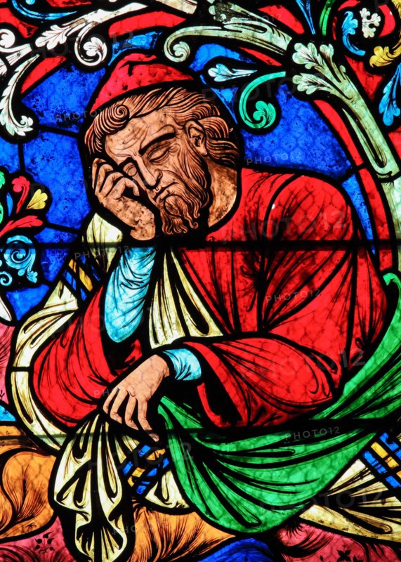 Stained Glass of Jesse, described in the Bible as the father of David, who became the king of the Israelites, in Notre Dame Cathedral of Paris, France