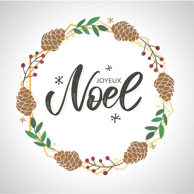 Merry Christmas card template with greetings in french language. Joyeux noel. Vector illustration EPS10