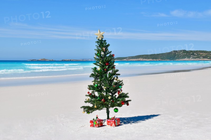 Christmas on the Beach, Cape Le Grand National Park, Western Australia