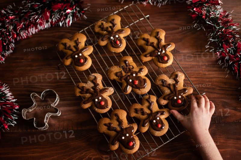 Christmas holiday festive reindeer cookies homemade with little hand
