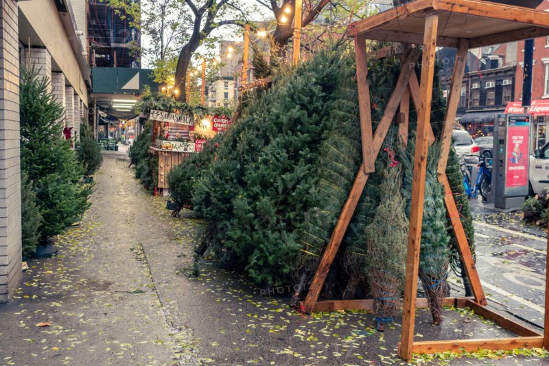 Christmas tree seller’s forest in the Chelsea neighborhood of New York on Wednesday, November 30, 2022.  (© Richard B. Levine)