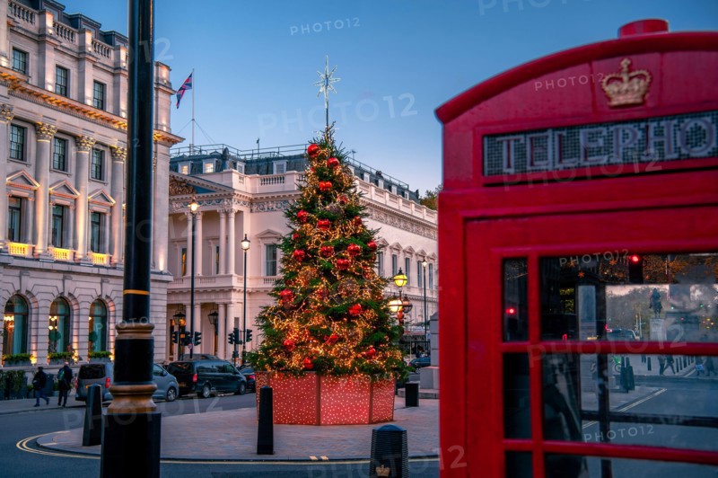 Christmas scene outdoors in London, with decorated tree and red colourful holiday lights on the street