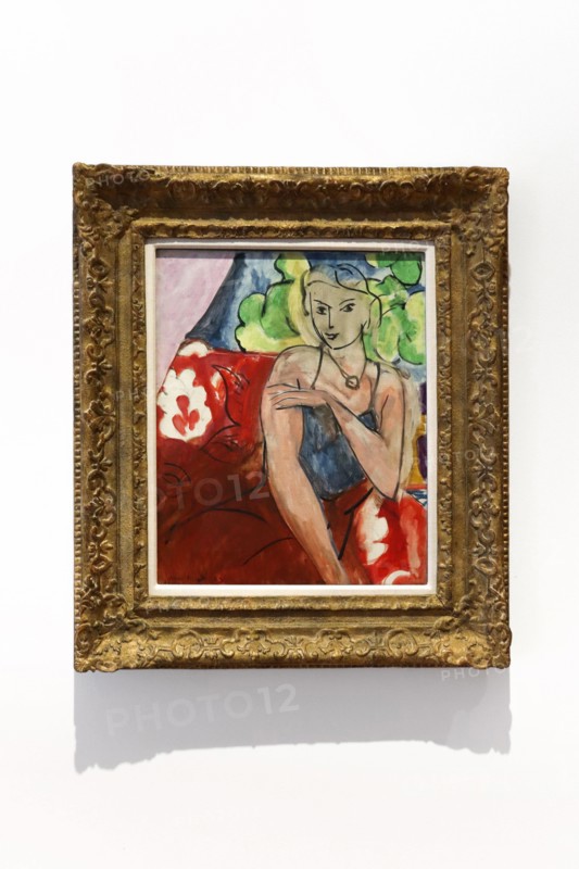 Nice, France - November 20, 2023: "Corselet on font of "Tahiti" (La Biche)" by Henri Matisse, 1936. At the Musee Matisse in Nice, France.