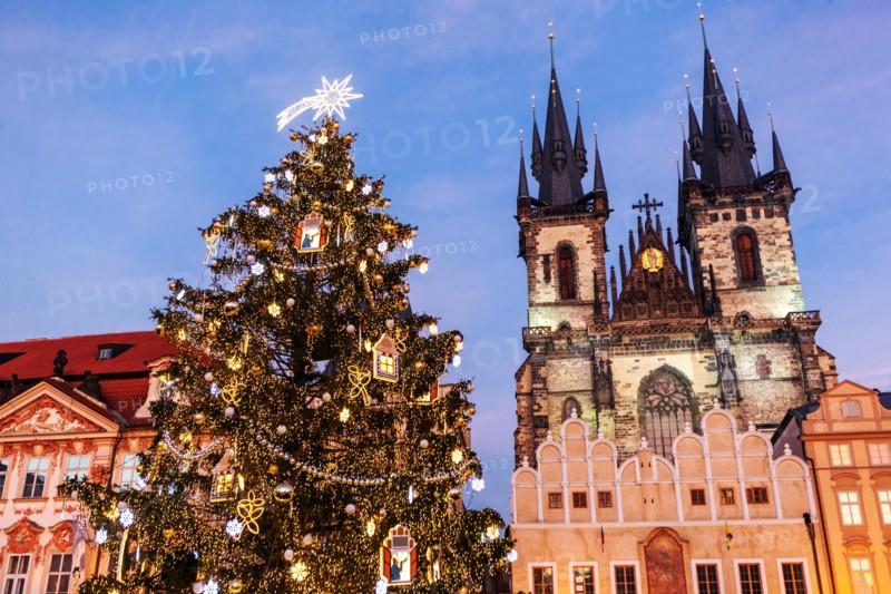 Prague Christmas market Old Town Square, Christmas tree, Prague, Czech Republic