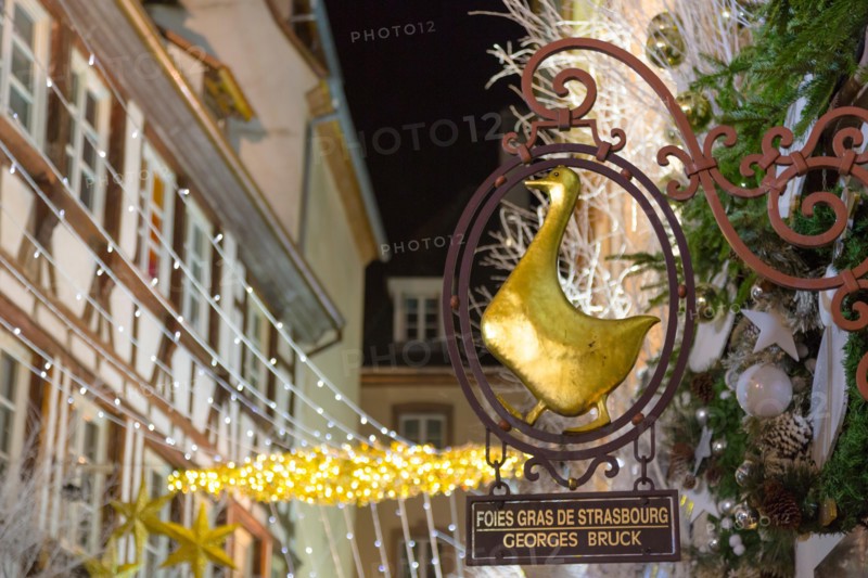 Sign of "La boutique du Gourmet Georges BRUCK’S Foie Gras", along the Carré d’Or Strasbourg, Alsace, wine route, France