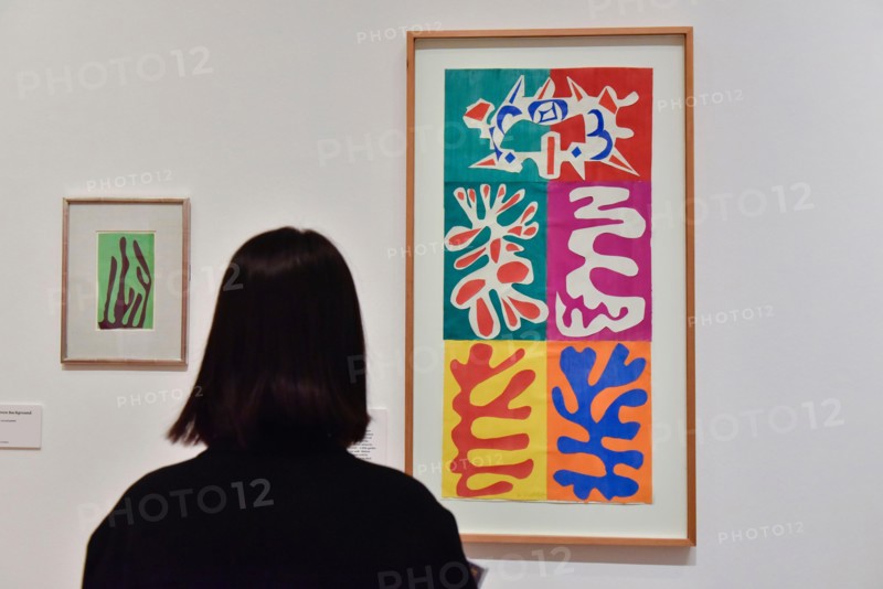 London, UK.  1 August 2017.  A visitor views (L to R) "Alga on Green Background", 1947, and "Panel with Mask", 1947.   Preview of "Matisse in the Studio", at the Royal Academy of Arts, Piccadilly, the first exhibition to consider how the personal collection of treasured objects of Henri Matisse were both subject matter and inspiration for his work.  Around 35 objects are displayed alongside 65 of Matisse’s paintings, sculptures, drawings, prints and cut-outs.  The exhibition runs 5 August to 12 November 2017. Credit: Stephen Chung / Alamy Live News