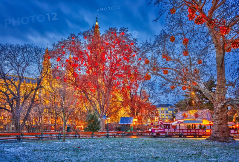 Vienna town hall and park