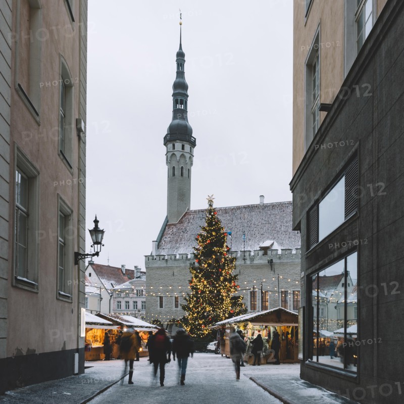 Traditional christmas market with illuminated and decorated fir on Town Hall Square. Old town, Tallinn, Estonia