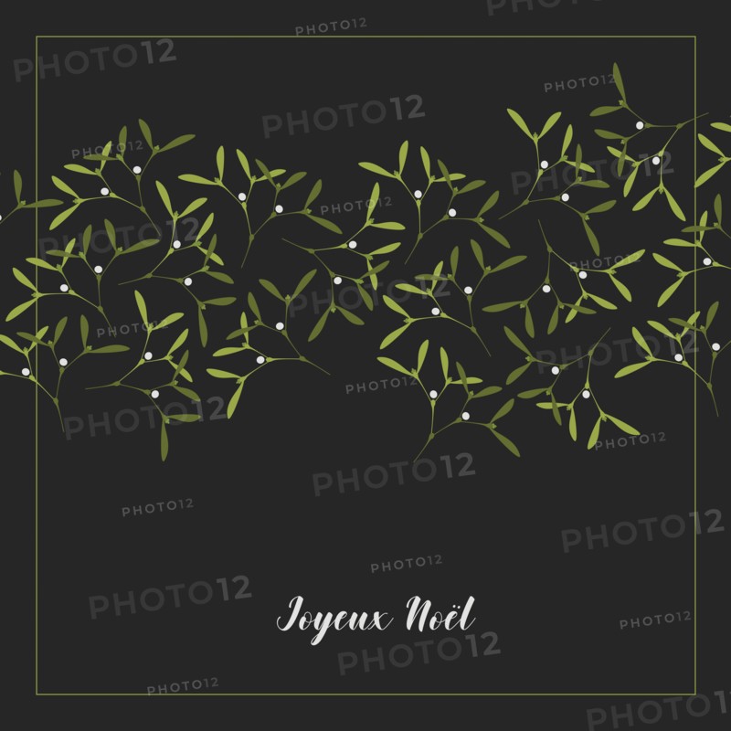 Vector Illustration. Christmas Greeting Card. A lot of Mistletoe on Black Background. Text in French Joyeux Noel, in English Merry Christmas.