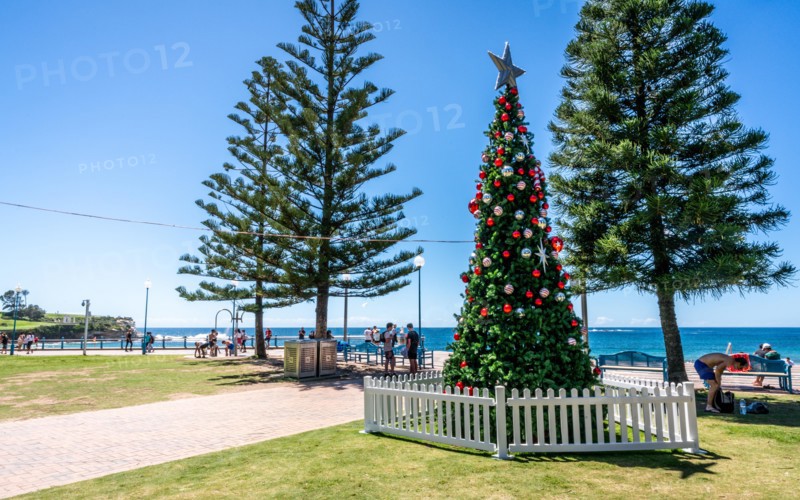 24th December 2018, Sydney NSW Australia : Christmas tree on the foreshore of Coogee beach in Sydney NSW Australia
