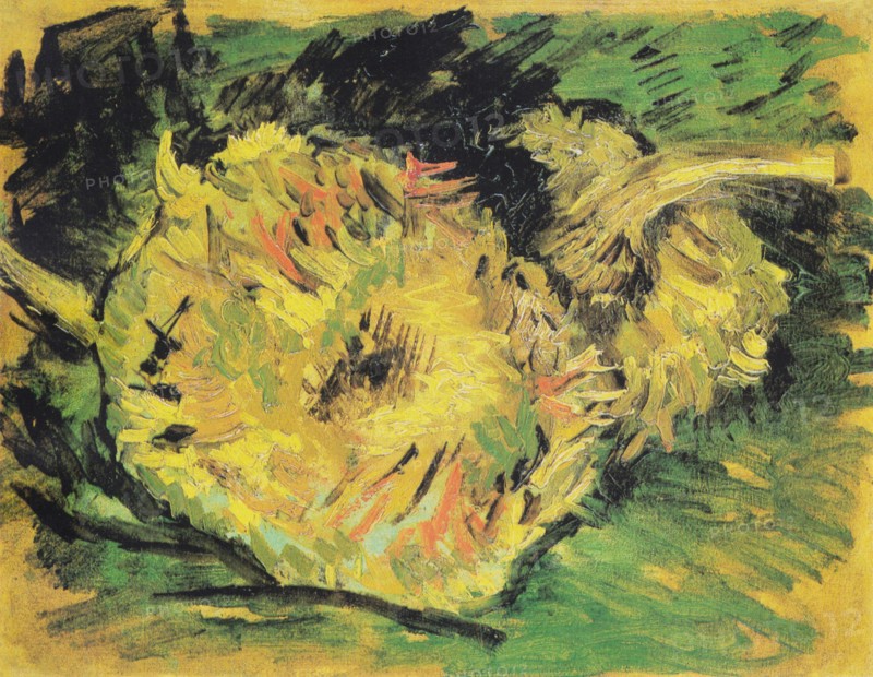 Vincent van Gogh – Two Cut Sunflowers (1887) famous painting.