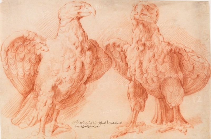 Eagle. Two studies of an antique sculpture; front view half turned to the right, and front view half turned to the left Panneels, Willem 1600 - 1634 Drawing Rubens cantoor: the drawings of Willem Panneels: a critical catalogue, Jan Garff, kat. nr. 178, 53904, 1988. Master Drawings: The Classification of Drawings in the So-called Rubens' Cantoor; The Classification of Drawings in the So-called Rubens' Cantoor, Master Drawings, Jesper Svenningsen, 2013 Eagle. Two studies of an antique sculpture, front view half turned to the right, and front view half turned to the left