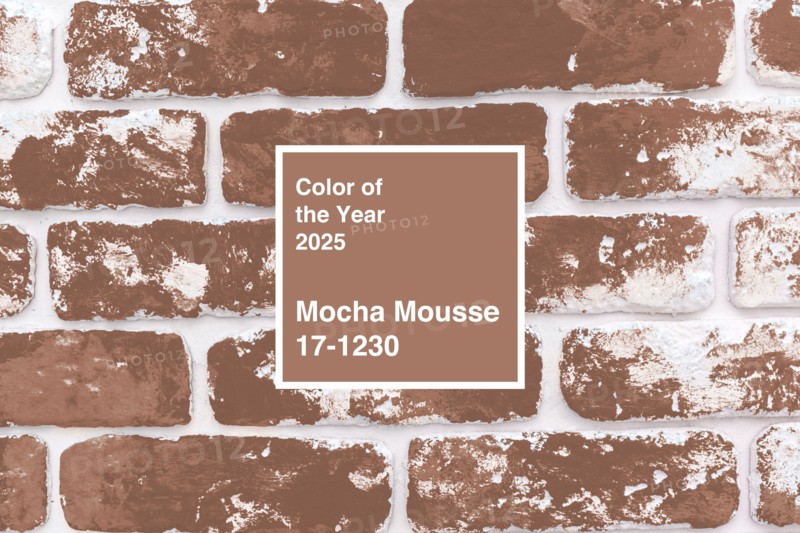 Mocha Mousse color of the year 2025 displayed on a textured brick wall showcasing a warm, inviting palette for contemporary design