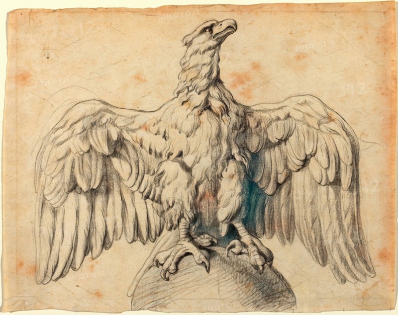 Sir Peter Paul Rubens, Flemish (1577-1640), The Capitoline Eagle, c. 1601-1602, black chalk on laid paper. Reimagined