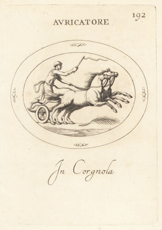 Aurigator or Roman charioteer driving a biga, a two-horse chariot.   He wears a pileus felt hat and holds a whip. The palm signifies victory in a race. In carnelian. Avricatore. In corgnola. Copperplate engraving by Giovanni Battista Galestruzzi after Leonardo Agostini from Gemmae et Sculpturae Antiquae Depicti ab Leonardo Augustino Senesi, Abraham Blooteling, Amsterdam, 1685.
