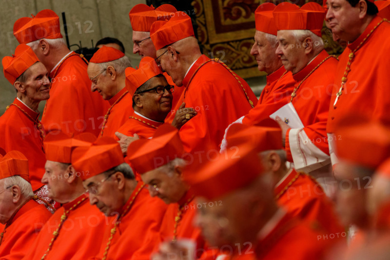Vatican City, Vatican. 19th November, 2016. Pope Francis elevated 17 Roman Catholic bishops and archbishops to the rank of cardinal during the Ordinary Public Consistory in St. Peter's Basilica in Vatican City, Vatican. In addition to 14 new electors, Pope Francis named 3 new cardinals who are over the age of 80 and, therefore, ineligible to vote in a conclave. Credit:  Giuseppe Ciccia/Alamy Live News