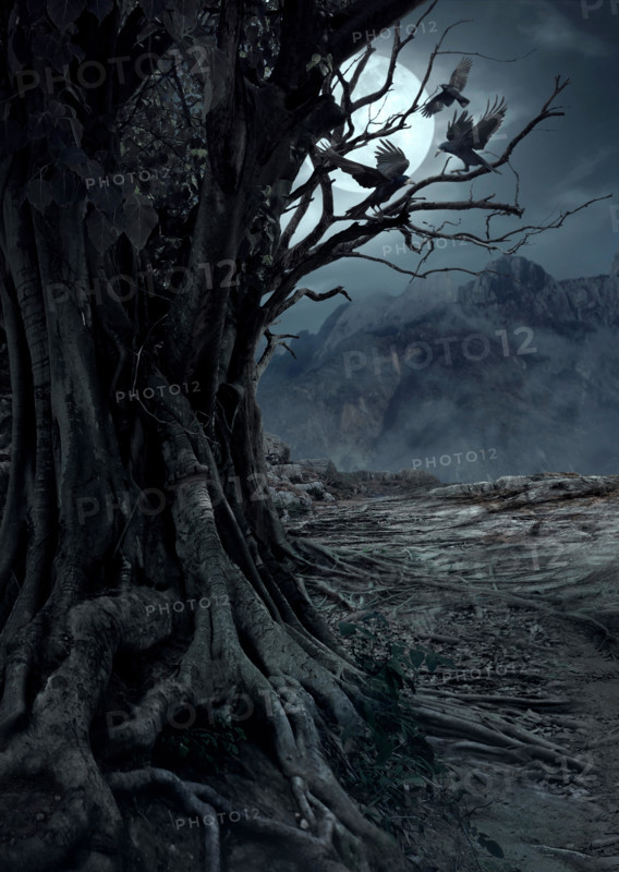 Scary dead tree, night in the mysterious forest with moon light and three crows
