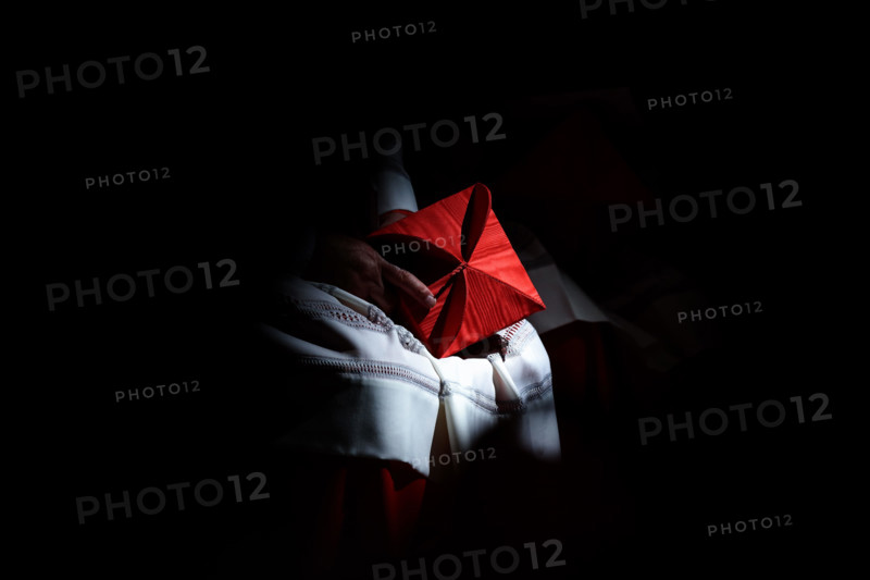 Vatican City. 28th June, 2018. (Holy See) POPE FRANCIS . create 14 new cardinals from Iraq, Pakistan, Italy, Poland, Peru, Japan, Madagascar and several vatican official. The 11 new cardinals under age of 80, will be active participants in a future Conclave. The ceremony was in the St. Peter's Basilica at the Vatican Credit: Evandro Inetti/ZUMA Wire/Alamy Live News