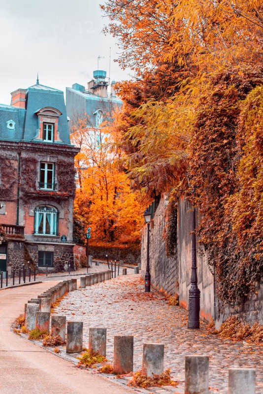 Streets of Montmartre in sunny autumn afternoon, golden trees and cobblestone alley. France. Paris. Autumn in France, old town