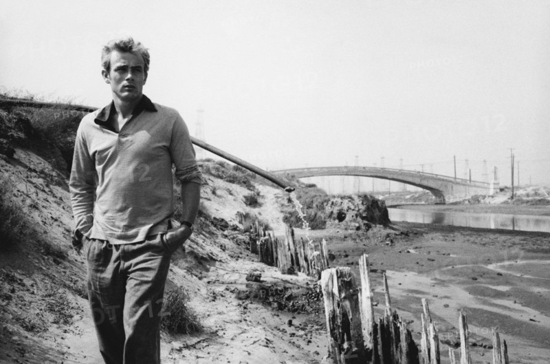 James Dean, 1955