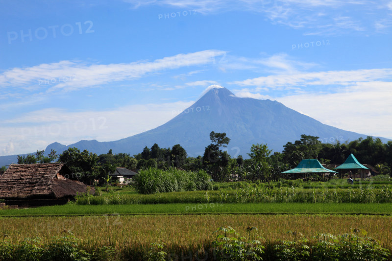 Indonesia, Java, Gunung Merapi volcano; agricultural fields;