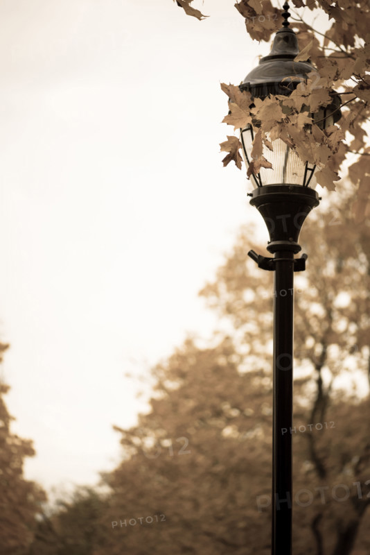 Old antique gas lamp post.