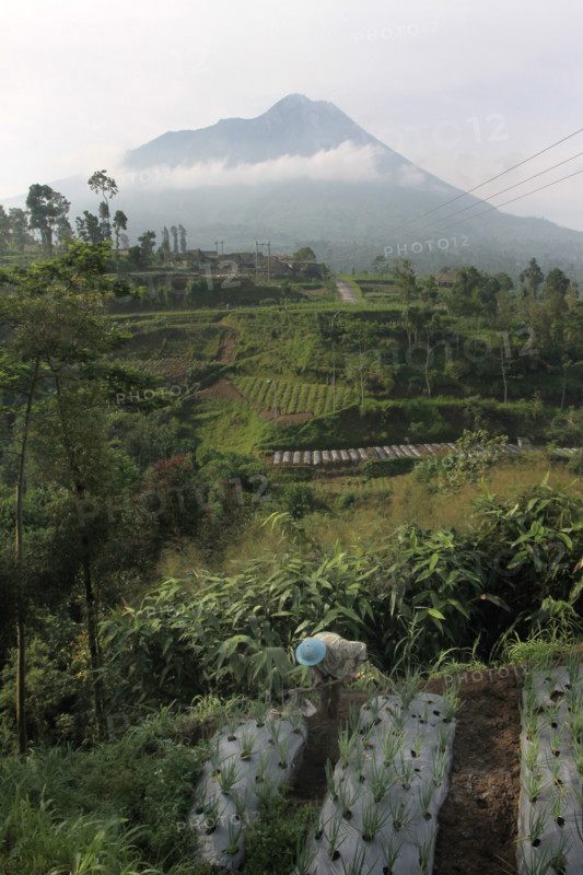Farmer village near Mt Merapi Indonesia volcano