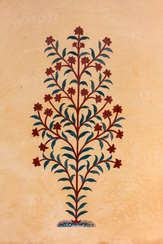 Amber (or Amer) Palace, near Jaipur, Rajasthan, India. Floral Decoration on an Interior Wall.