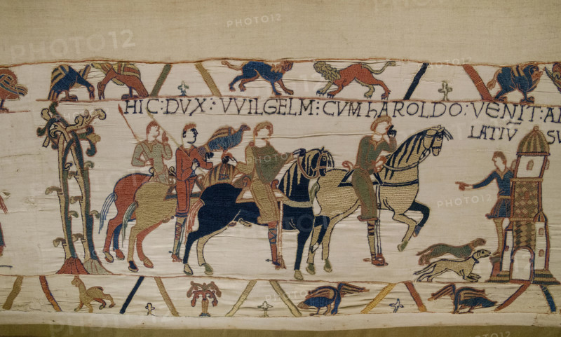 bayeux tapestry close up detail