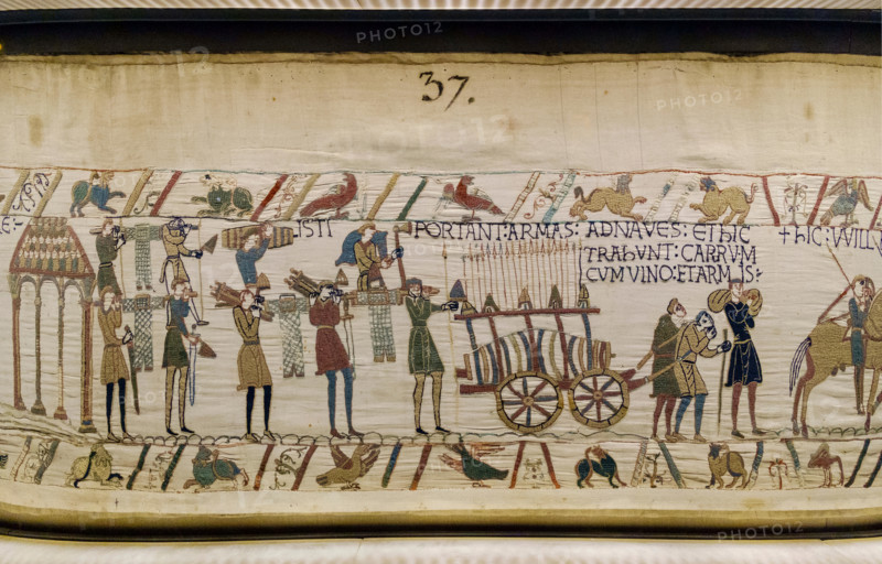 bayeux tapestry close up detail