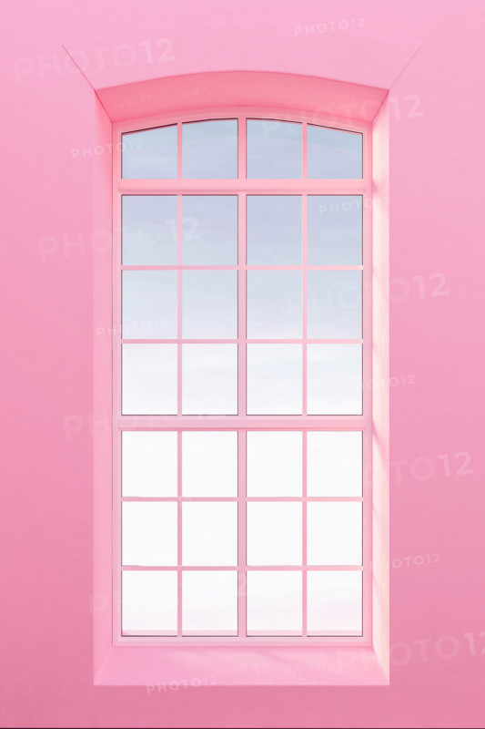 View form window, pastel pearl pink walls 3d render