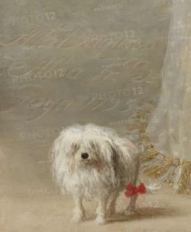 . English: Detail from the well know Painting by Goya Deutsch: Detail des bekannten Goya-Bildes  . 1795. Farncisco de Alba Goya Alba1, Detail