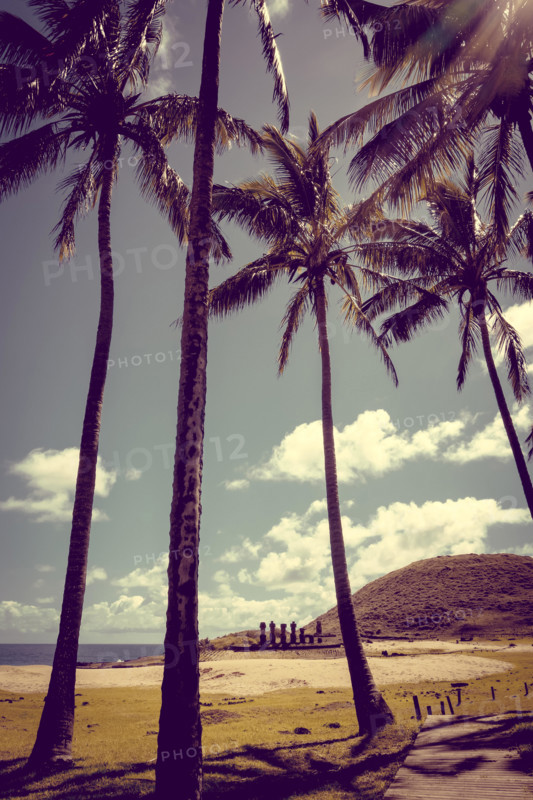 Anakena palm beach and Moais statues site ahu Nao Nao, easter island