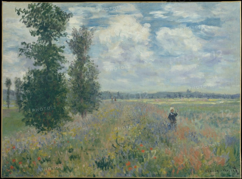 Title: Poppy Fields near Argenteuil Creator: Claude Monet Date: 1875 Medium: oil on canvas Dimension: 54 x 73.7 cm Location: Metropolitan Museum of Art, New York