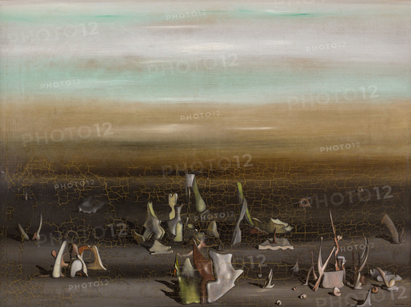 20th century  -  Nest of the Amphioxus - Yves Tanguy (1936) Philippe Sauvan-Magnet / Active Museum Oil on canvas