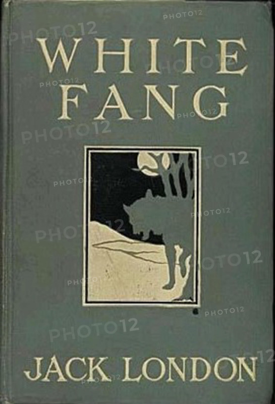 820 JackLondonwhitefang1